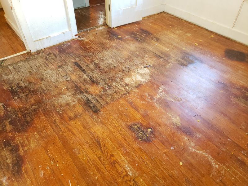 Bamboo Floor Damage